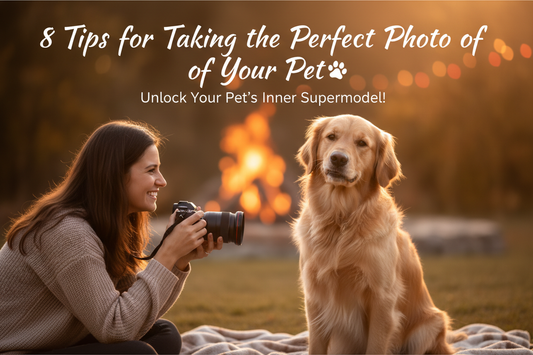 8 Tips for taking the perfect photo of your pet