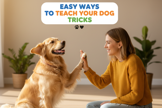 Easy ways to teach your dog tricks