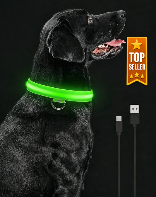 Rechargeable LED Dog Collar – 3‑Modes