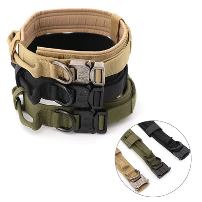 Dog Training Collar & Leash Set