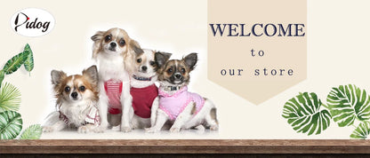 Personalized Dog Collar • Engraved Nameplate