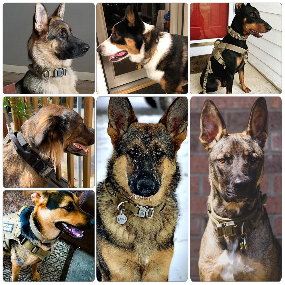 Dog Training Collar & Leash Set