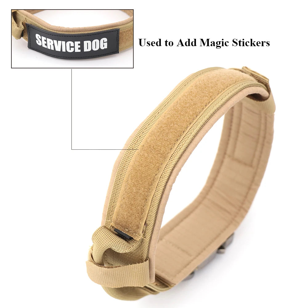 Dog Training Collar & Leash Set
