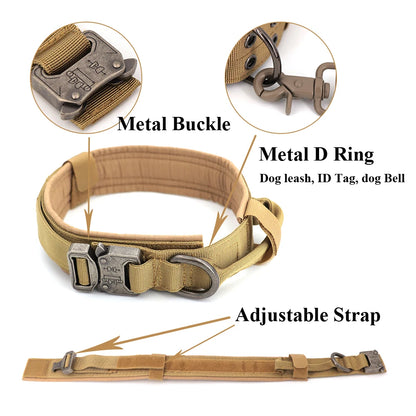 Dog Training Collar & Leash Set