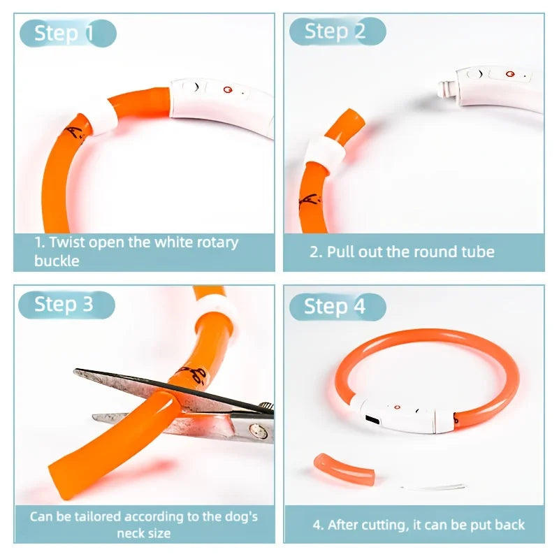 Rechargeable LED Dog Collar – Adjustable Night Safety