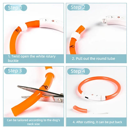 Rechargeable LED Dog Collar – Adjustable Night Safety