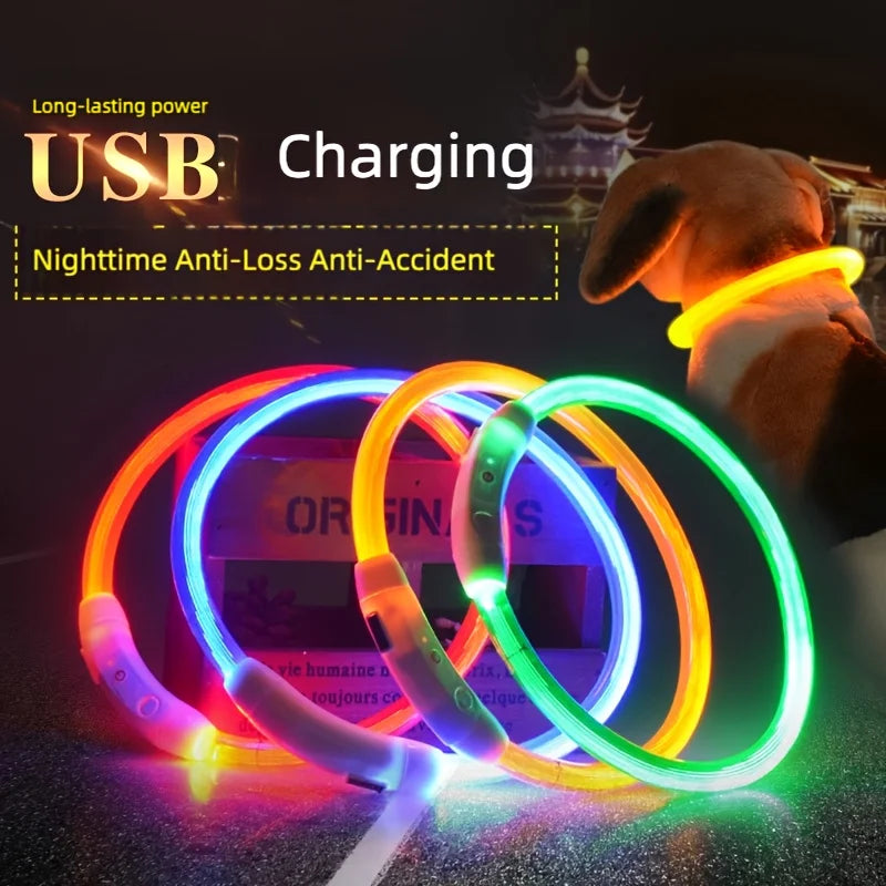 Rechargeable LED Dog Collar – Adjustable Night Safety