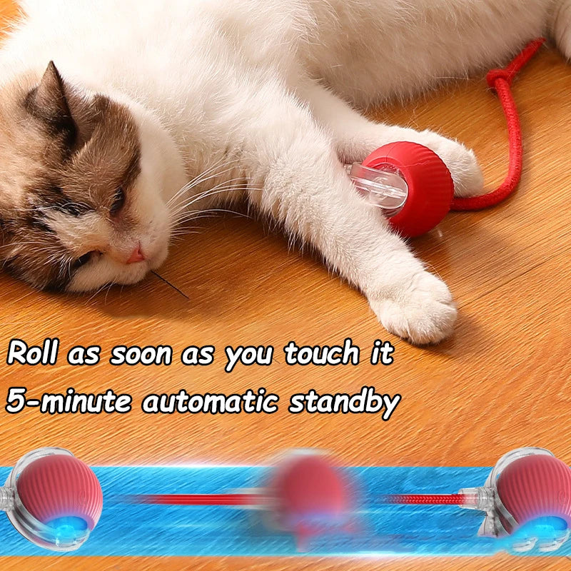 Smart Motion Cat Ball with Faux Tail