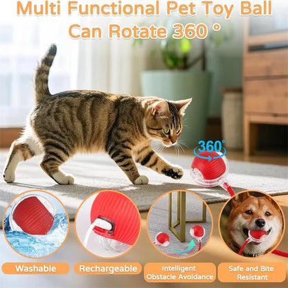 Smart Motion Cat Ball with Faux Tail