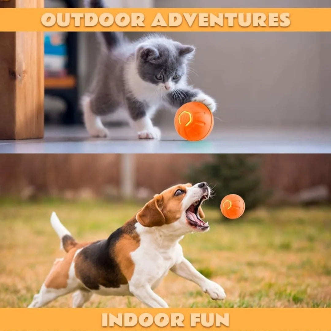 Smart Bouncing Pet Ball – Automatic Motion, Durable & Chew‑Resistant
