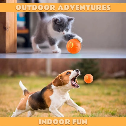 Smart Bouncing Pet Ball – Automatic Motion, Durable & Chew‑Resistant