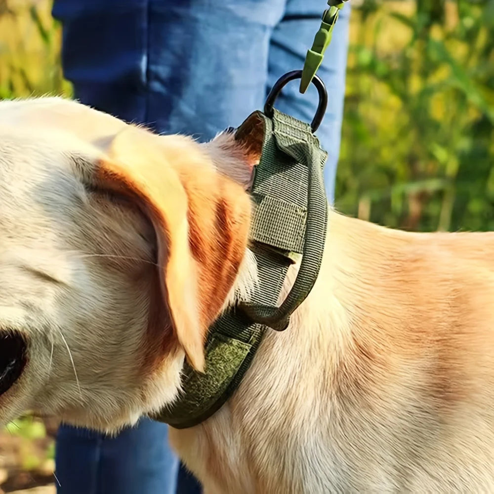 Dog Training Collar & Leash Set