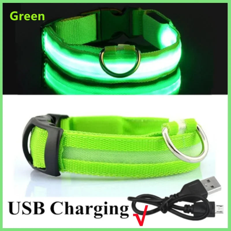 Rechargeable LED Pet Safety Collar