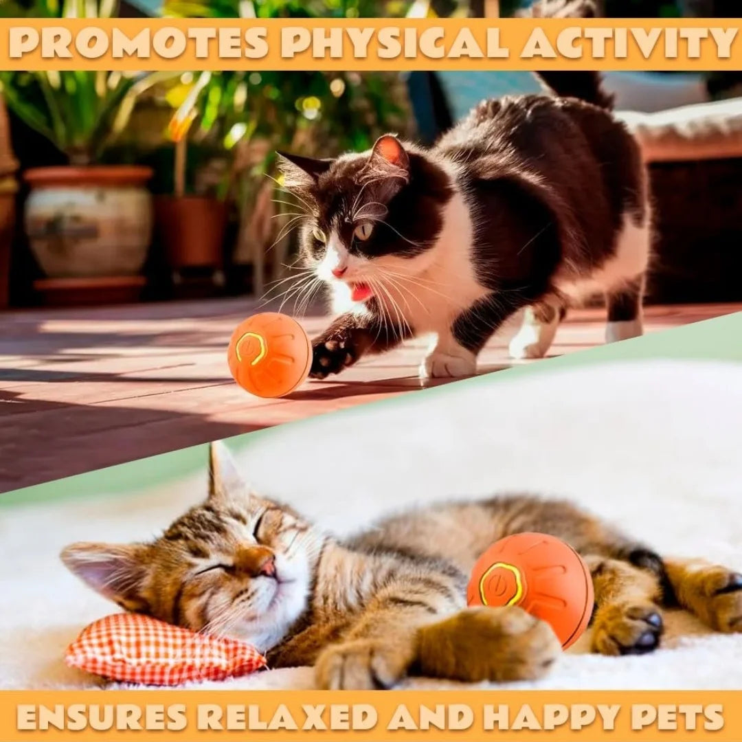 Smart Bouncing Pet Ball – Automatic Motion, Durable & Chew‑Resistant