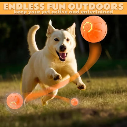 Smart Bouncing Pet Ball – Automatic Motion, Durable & Chew‑Resistant