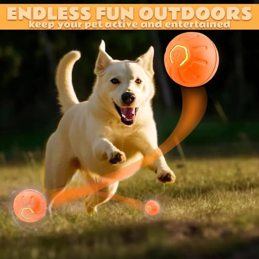 Smart Bouncing Pet Ball – Automatic Motion, Durable & Chew‑Resistant