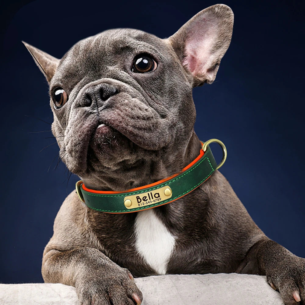 Personalized Dog Collar • Engraved Nameplate