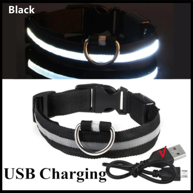 Rechargeable LED Pet Safety Collar
