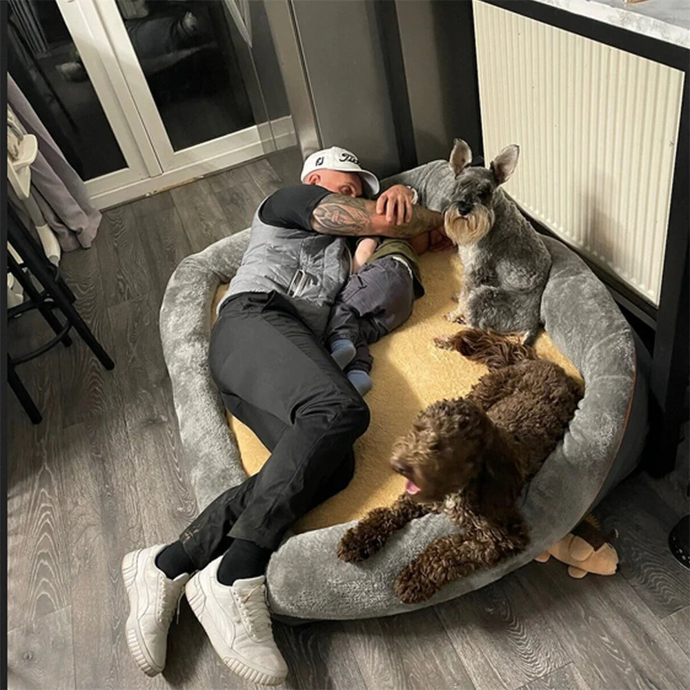 Orthopedic Dog Sofa Bed • Memory Foam & Bolster