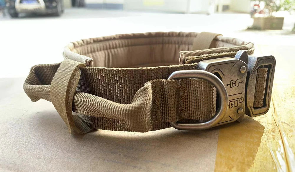 Dog Training Collar & Leash Set