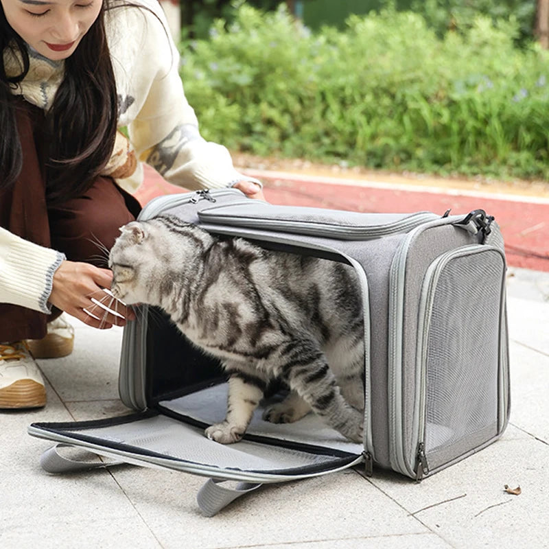 Portable Pet Travel Carrier – Soft‑Sided & Airline Approved