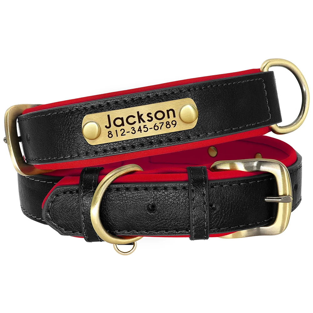 Personalized Dog Collar • Engraved Nameplate