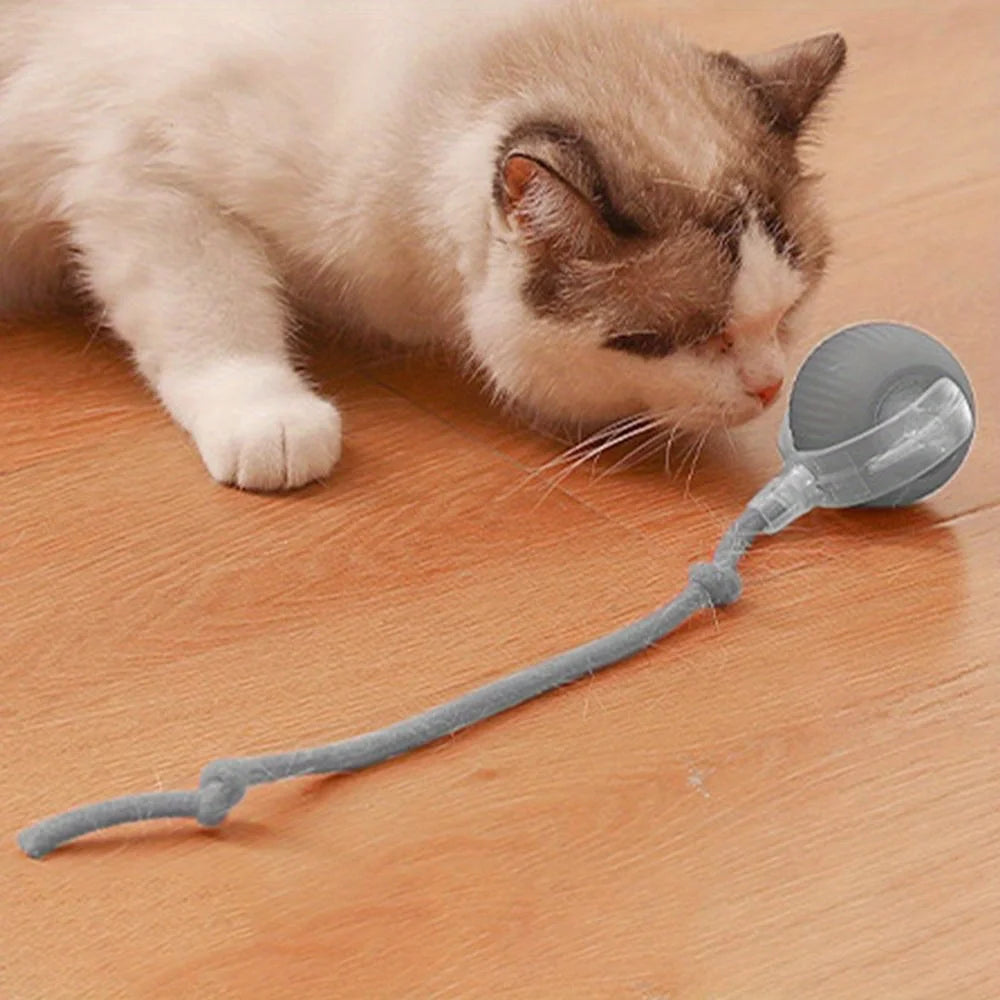 Automatic Interactive Cat Ball – Rechargeable Smart Rolling Toy with Faux Tail